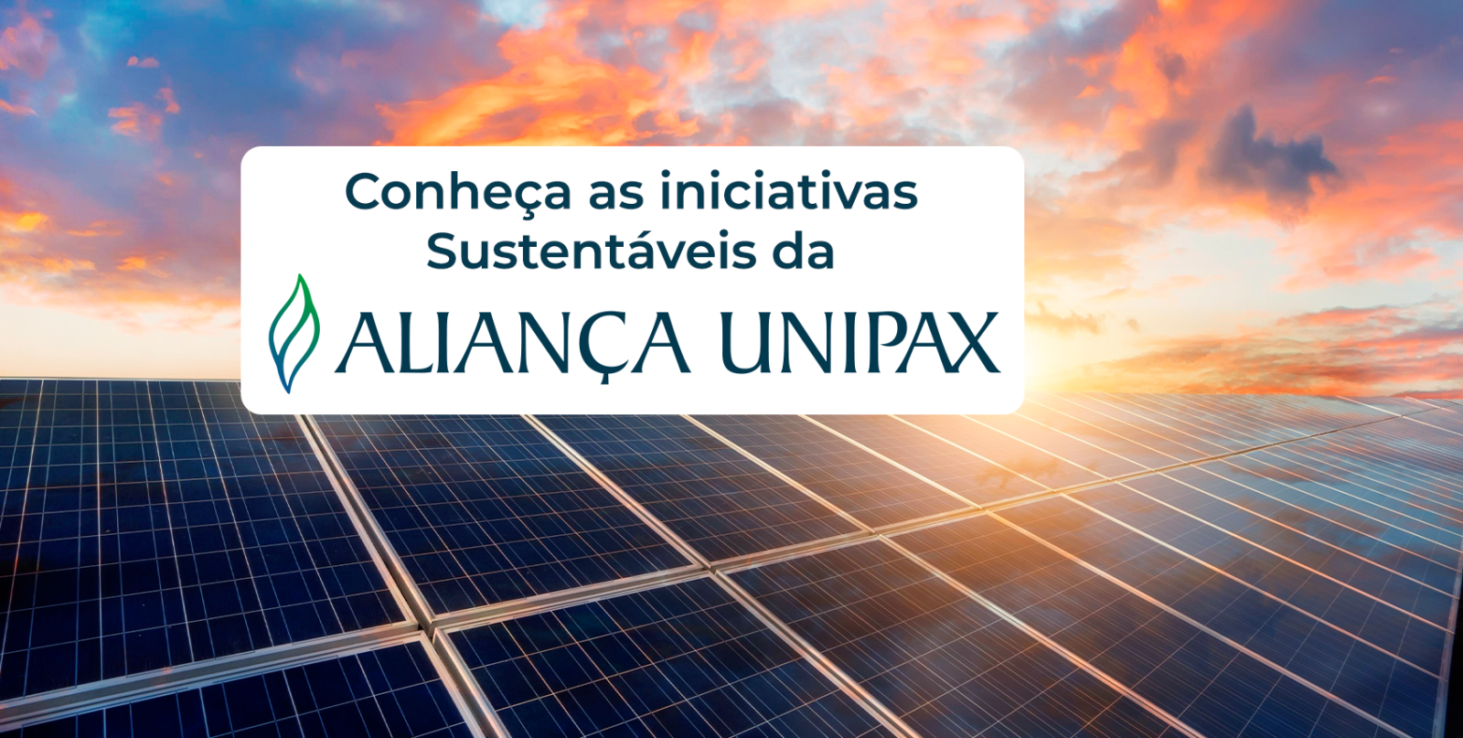 Aliança Unipax e sustentabilidade: cuidado que reflete no futuro